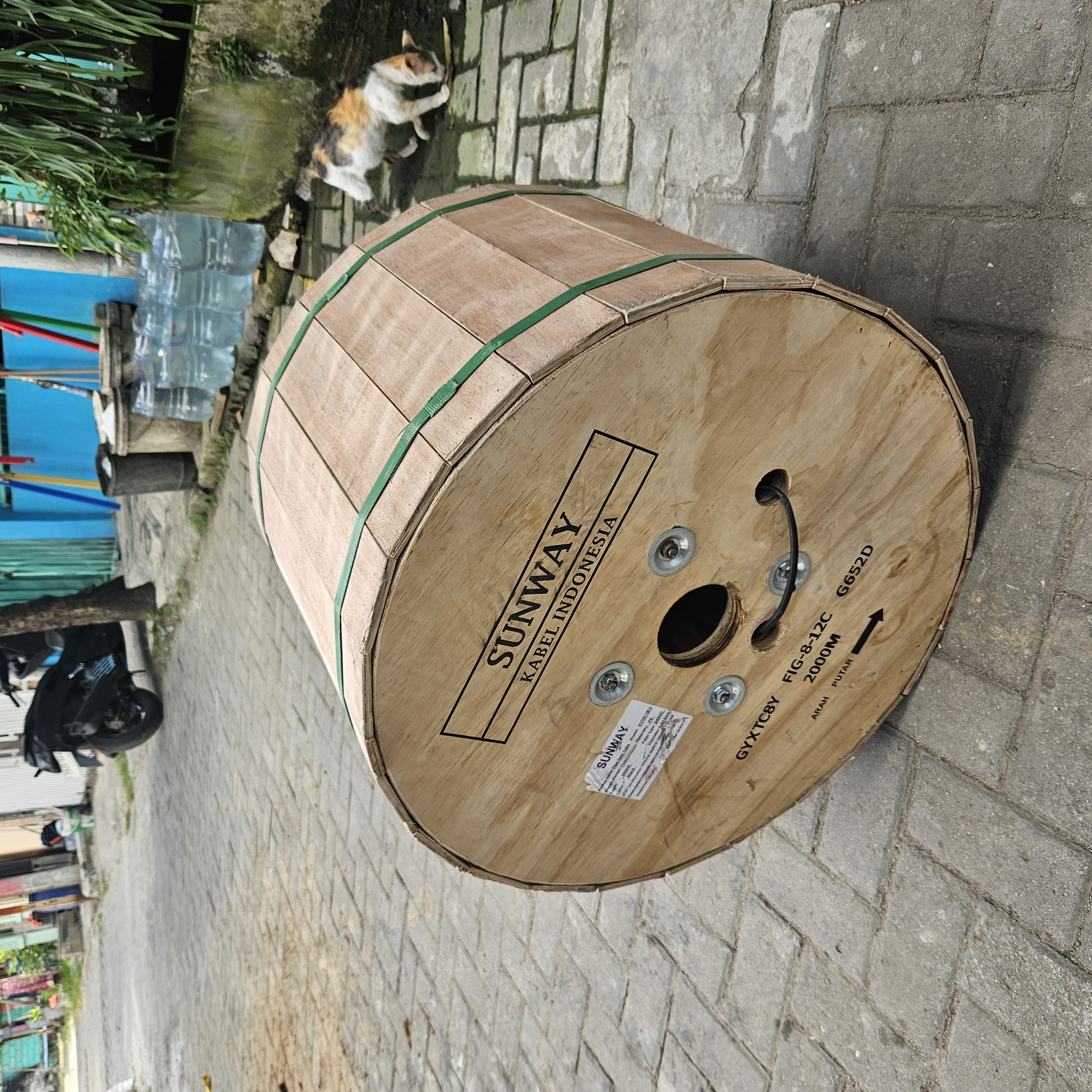 Ku Mini Fig 8 Sunway 12 Core